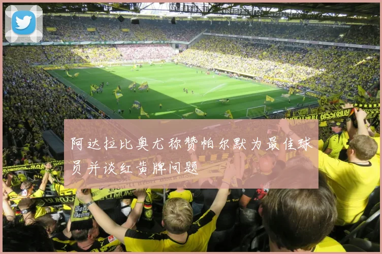 阿达拉比奥尤称赞帕尔默为最佳球员并谈红黄牌问题
